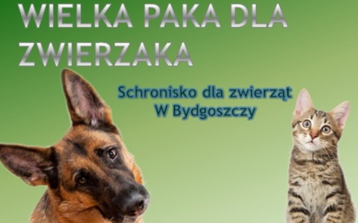 Zbiórka Wielka paka dla zwierzaka - zdjęcie główne