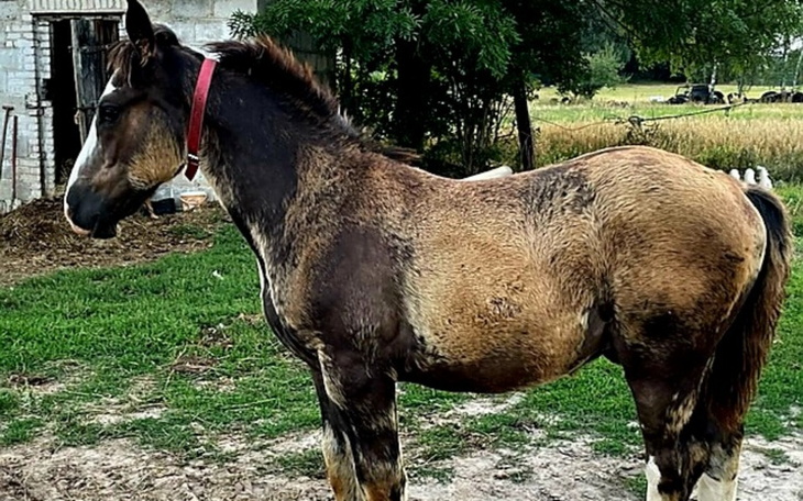 Zbiórka Adonis -dziecko z wyrokiem - zdjęcie główne