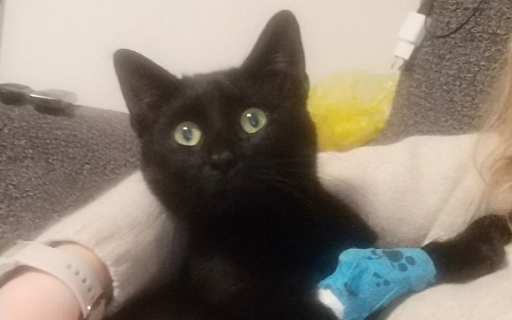 Zbiórka Teraz Batman potrzebuje pomocy - zdjęcie główne