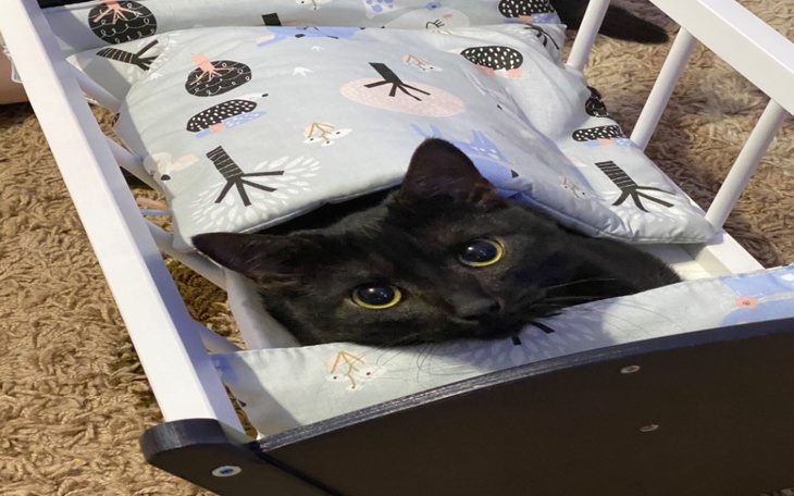 Zbiórka Na walkę z zapaleniem otrzewnej - zdjęcie główne