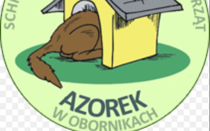 Zbiórka Schronisko dla zwierząt azorek - zdjęcie główne