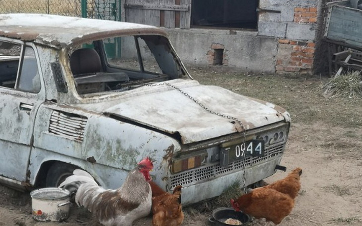 Zbiórka Auto dla Pyrka - zdjęcie główne