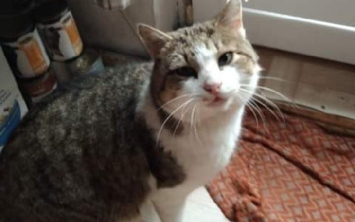 Zbiórka Na leczenie ząbków Różuśa - zdjęcie główne