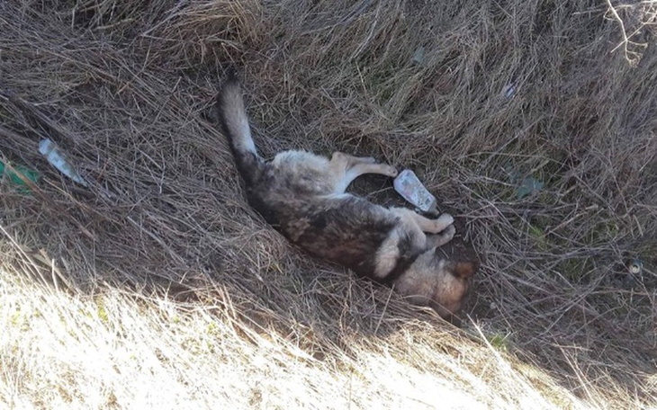 Zbiórka Wyrzucony do rowu - zdjęcie główne