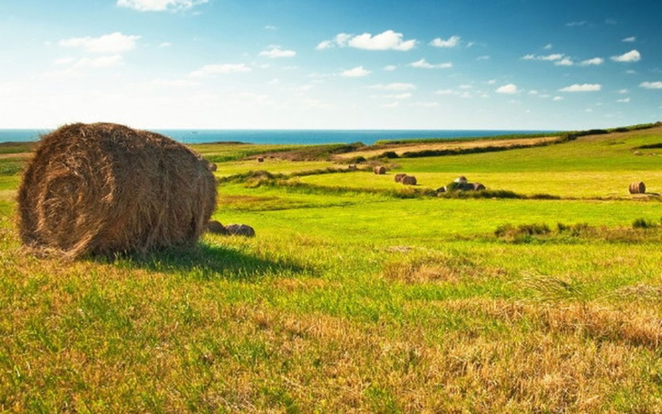 Zbiórka Zbieram na życie w Polsce - zdjęcie główne