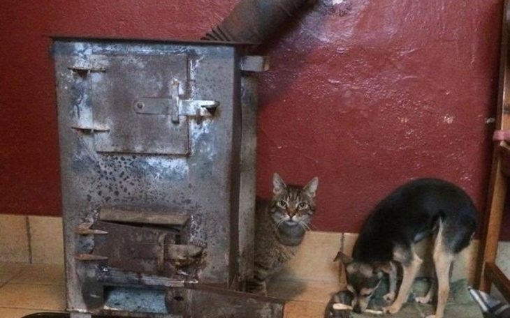 Zbiórka Potrzebne ogrzewanie!!! - zdjęcie główne