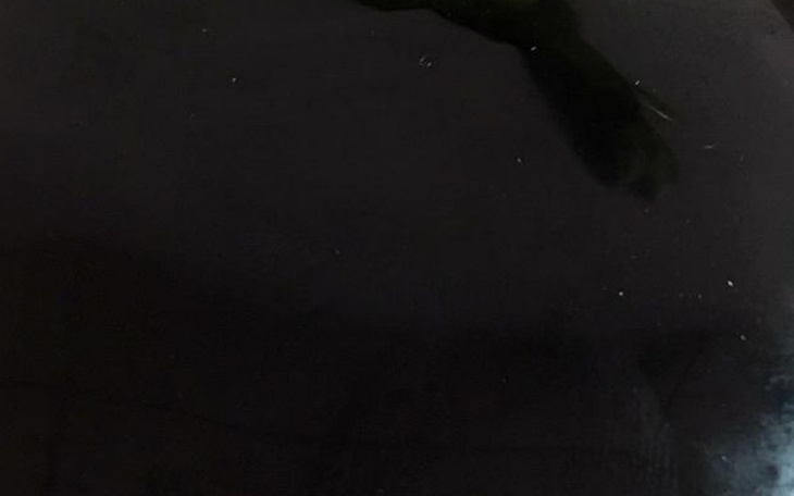 Zbiórka Biurko z obydianu - zdjęcie główne