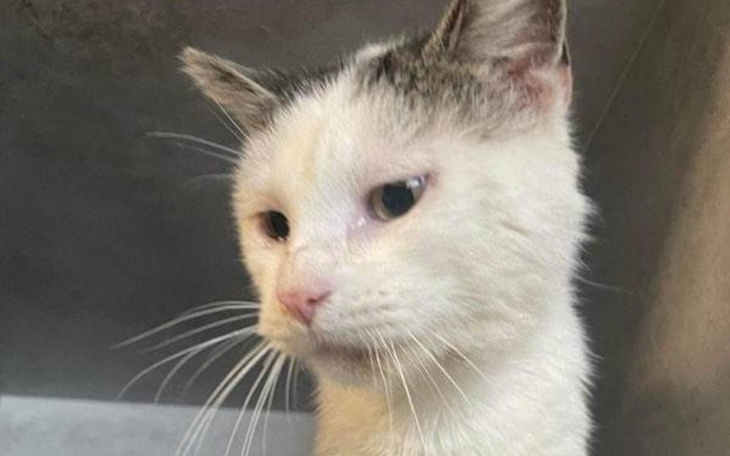 Zbiórka Jerzmanek prosi o pomoc. - zdjęcie główne