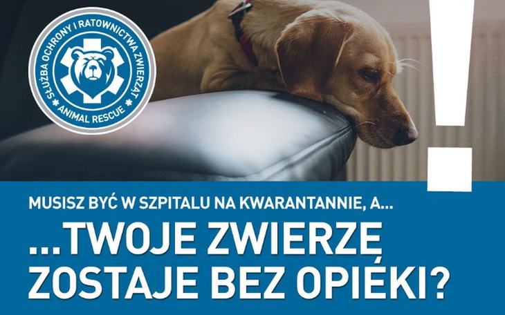Zbiórka Na zwierzęta w czasie PANDEMII - zdjęcie główne