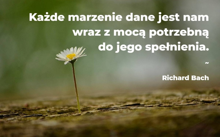 Zbiórka Na Leczenie Zębów Dziękuję wszys - zdjęcie główne