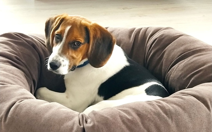 Zbiórka Pomoc za pomaganie - zdjęcie główne