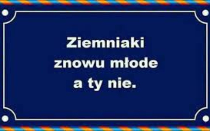 Zbiórka Zbiórka urodzinowa psiej mamy - zdjęcie główne
