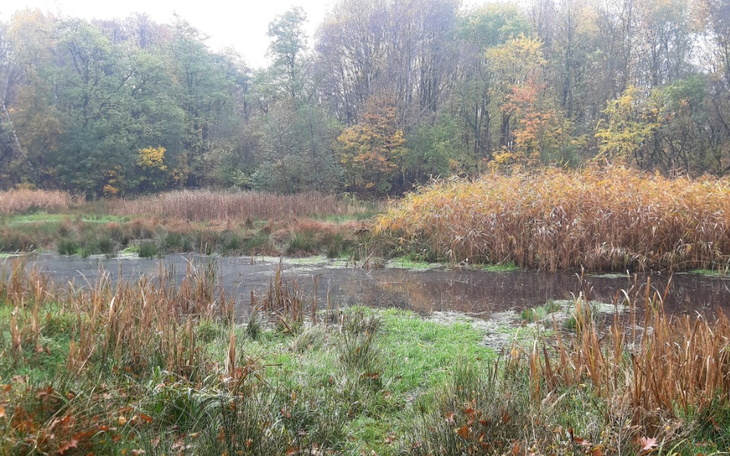 Zbiórka Była.bla - zdjęcie główne