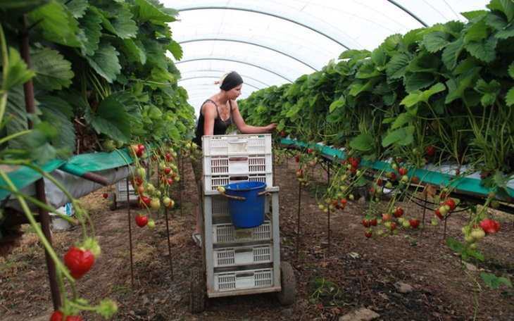 Zbiórka Pieniądze na wyjazd do pracy - zdjęcie główne