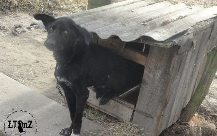 Zbiórka Utrzymanie Barego - zdjęcie główne