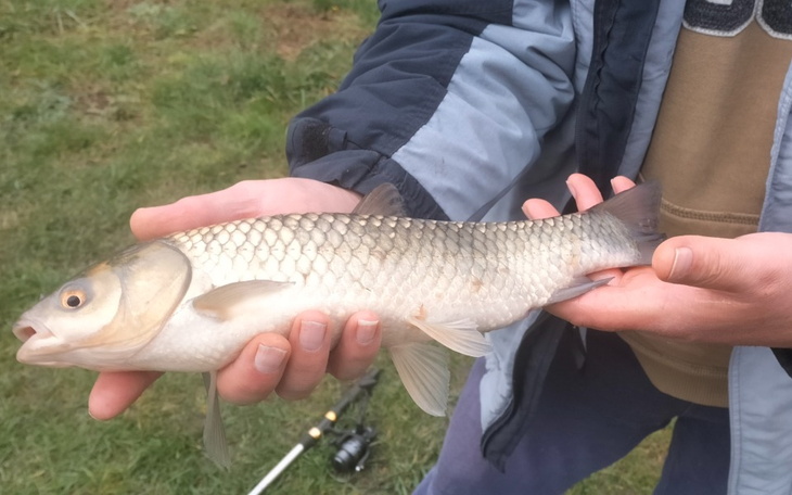 Zbiórka Sprzęt dla taty - zdjęcie główne