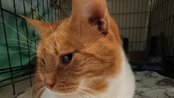 Zbiórka Operacja Jędrzeja - miniaturka zdjęcia