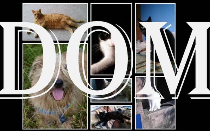 Zbiórka Własny kawałek podłogi. - zdjęcie główne