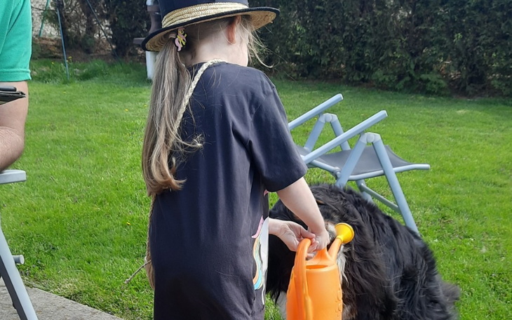 Zbiórka Prawo jazdy. Dla mamy. - zdjęcie główne