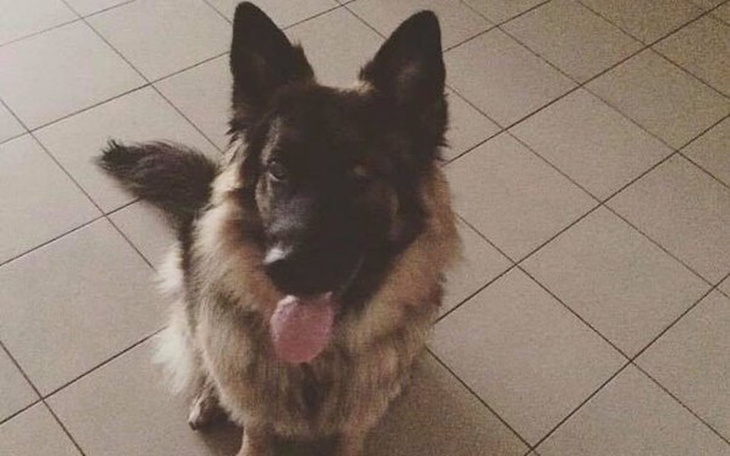 Zbiórka pomoc dla lady - zdjęcie główne