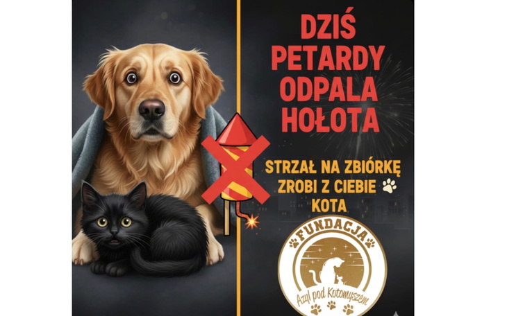 Plakat z psem i kotem, apelujący o pomoc dla zwierząt.