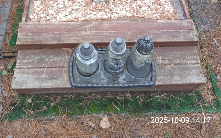 Trzy pojemniki na przyprawy ustawione na drewnianej podstawie.