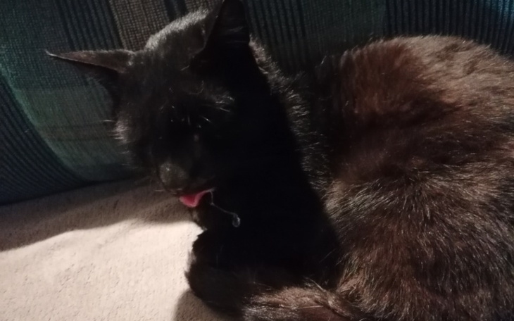 Zbiórka Bieda po wypadku... Proszę - zdjęcie główne