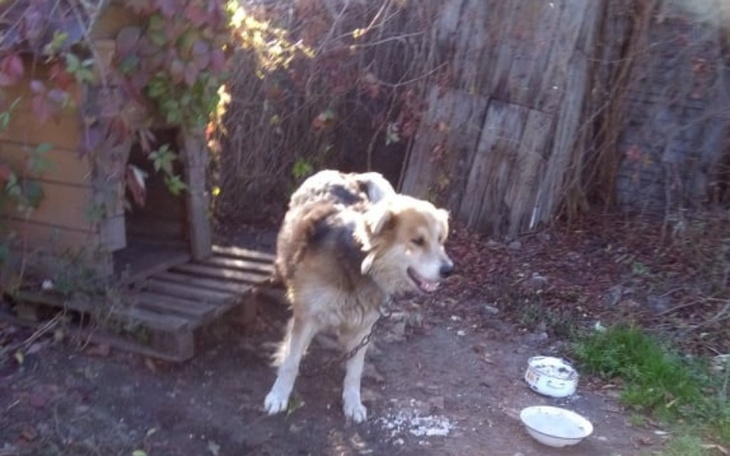 Zbiórka Alex PRAGNIE Nowego ŻYCIA - zdjęcie główne