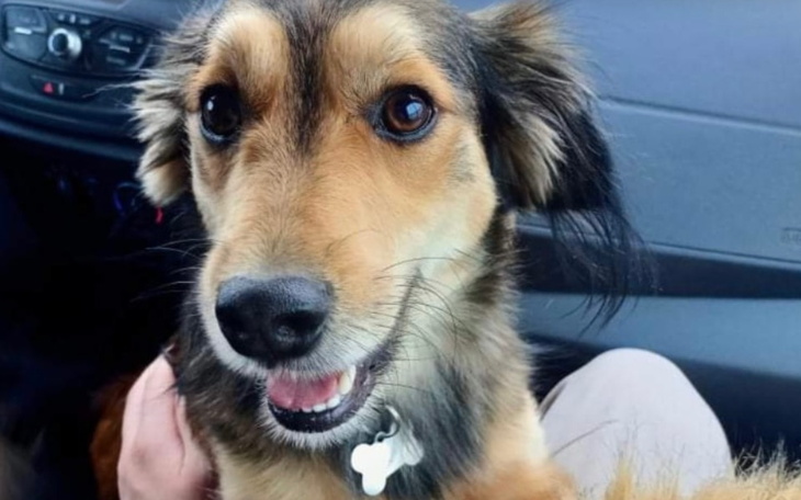 Zbiórka Nierówna walka chrupka z rakiem - zdjęcie główne