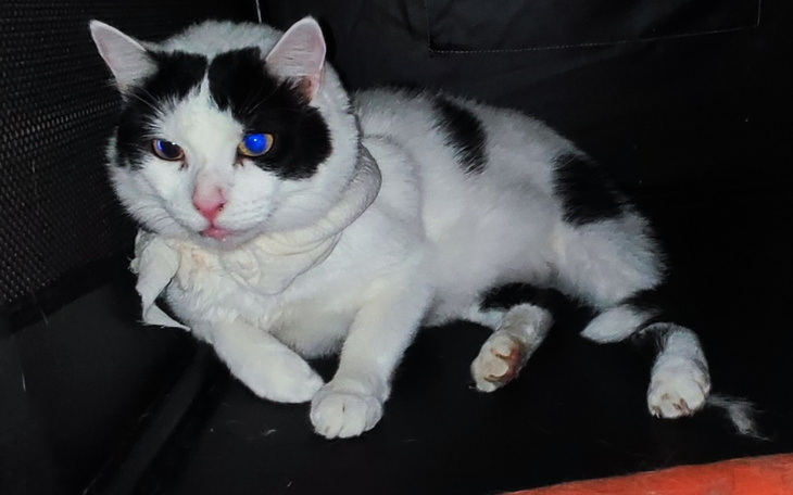 Zbiórka Moka znowu się posypała - zdjęcie główne