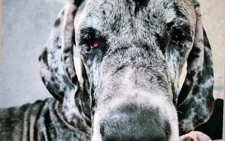 Zbiórka Pomoc w życiu na inflacji - zdjęcie główne