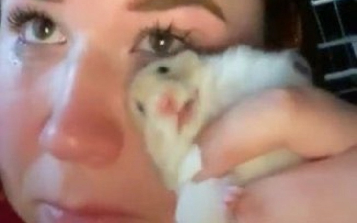 Zbiórka Testowa zbiórka webf - zdjęcie główne