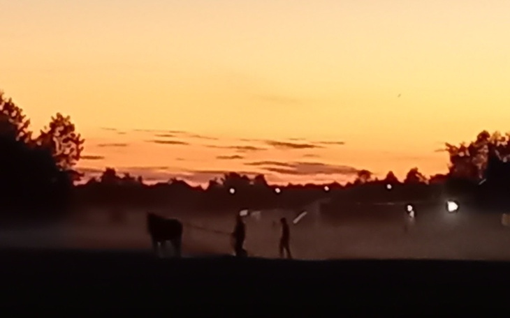 Zbiórka NIE dla Wysypiska w Gm. Dąbrówka - zdjęcie główne