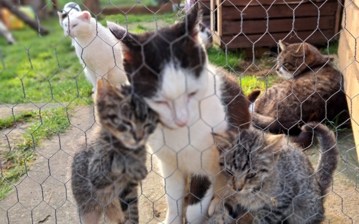 Zbiórka Na ciepełko - zdjęcie główne