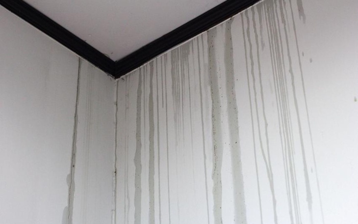 Zbiórka przeciekający dach mitrixa - zdjęcie główne