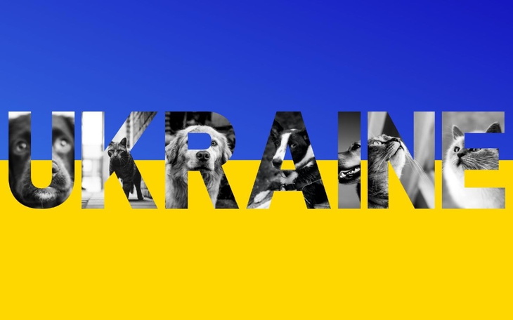 Zbiórka Doner til Ukraines kaeldyr - zdjęcie główne