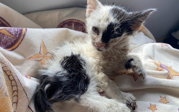 Zbiórka Ratunek dla malutkiej Michalinki - zdjęcie główne