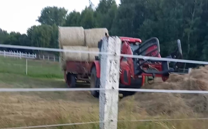 Zbiórka Zakup siana dla dzieciaków - zdjęcie główne