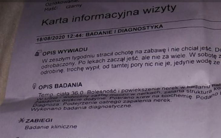 Dokument medyczny z informacjami o badaniu i diagnozie.