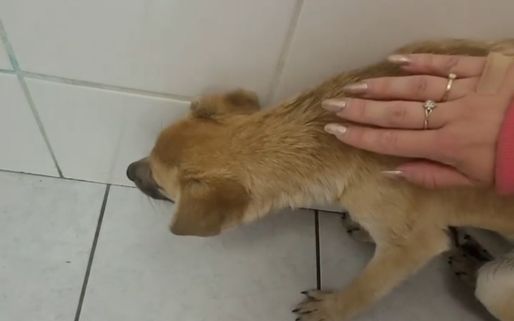 Zbiórka Szansa dla Mikusia - zdjęcie główne