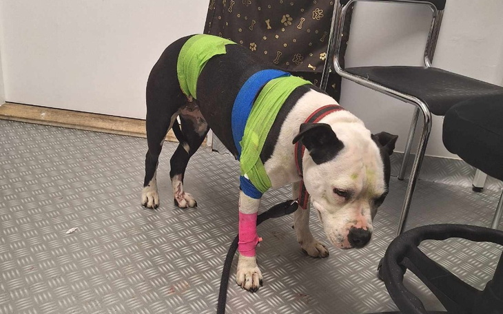 Zbiórka Operacja członka rodziny - zdjęcie główne