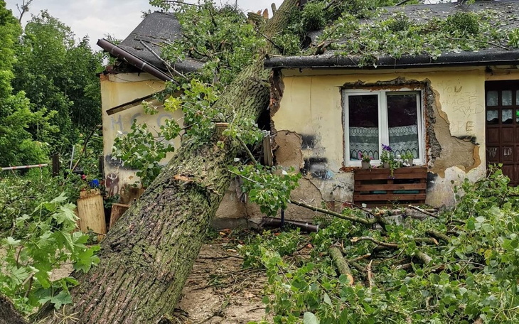 Zbiórka Zniszczony dom - zdjęcie główne