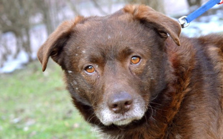 Zbiórka Rudzik! Zbieramy na hotelik. - zdjęcie główne