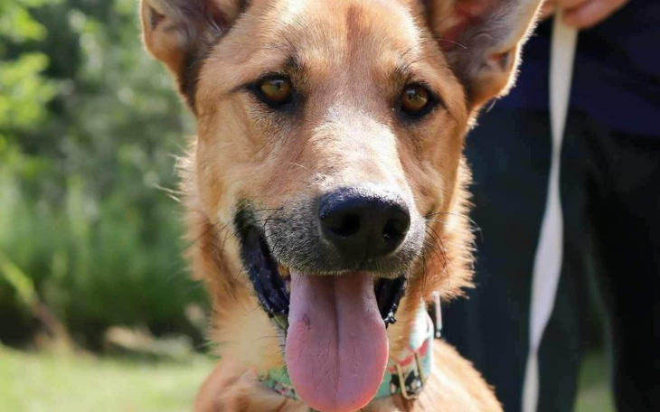 Zbiórka Transport Randolfa i Franka - zdjęcie główne