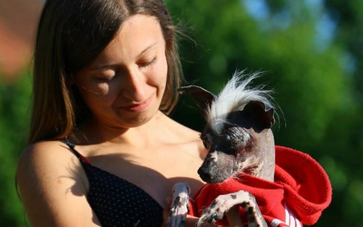 Zbiórka Osobowość Roku w naszym stylu ;) - zdjęcie główne