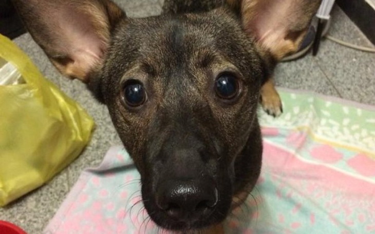 Zbiórka Cierpienie liczone w miesiącach - zdjęcie główne