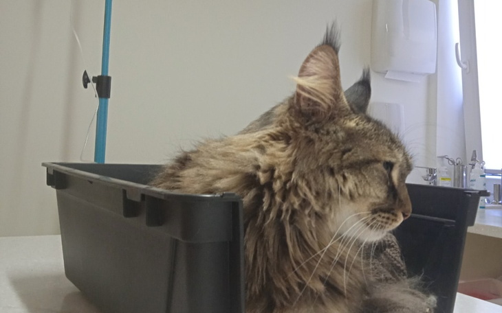 Zbiórka Na leczenie Ryszarda - zdjęcie główne