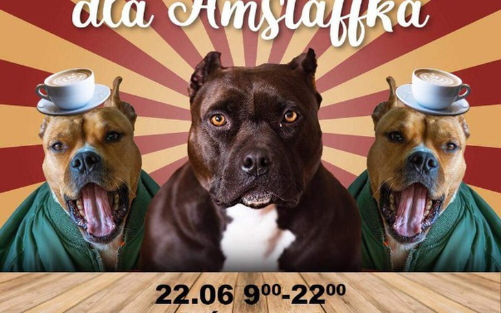 Zbiórka Pomoc dla Fundacji SOS - Amstaff - zdjęcie główne