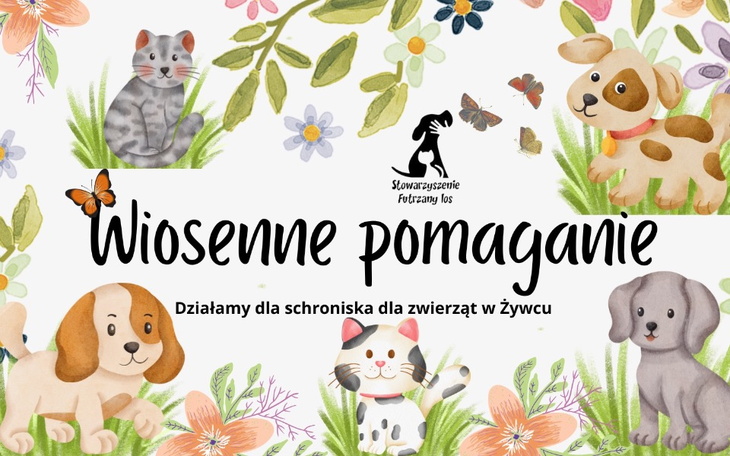 Plakat z ilustracjami zwierząt i napisem o pomocy dla schroniska.