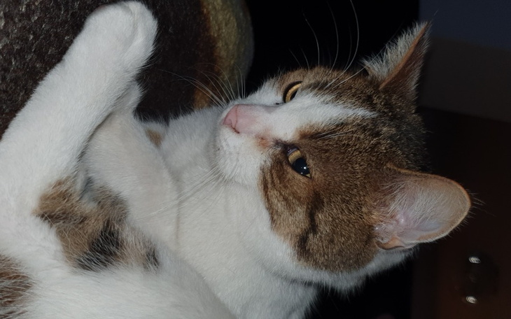 Zbiórka Wyrzucona z domu przez partnera - zdjęcie główne